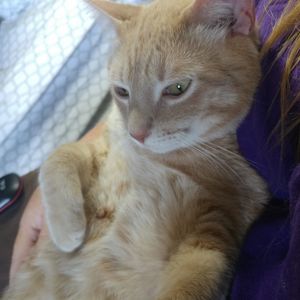 Meet your Posher, Jamie